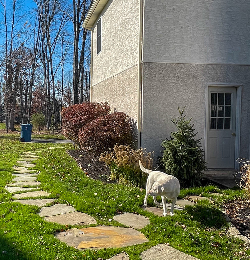 bloodgoodlandscape projects