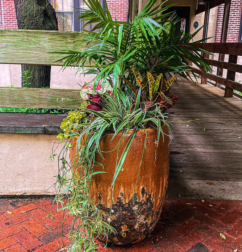 bloodgoodlandscape projects