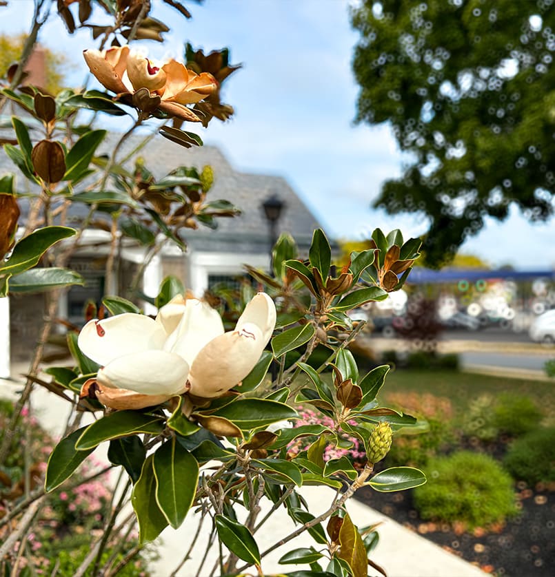 bloodgoodlandscape projects