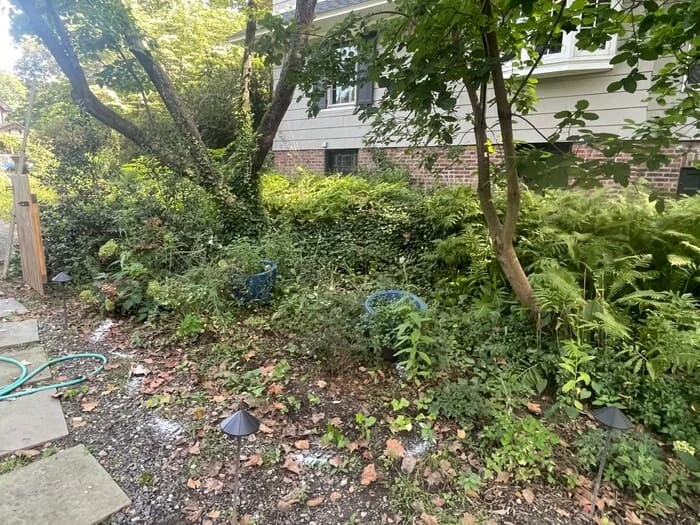 Residential drainage with subsurface drainage renovation, rain garden basin creation, native landscape design and install and boulder wall addition project in Lansdowne, PA