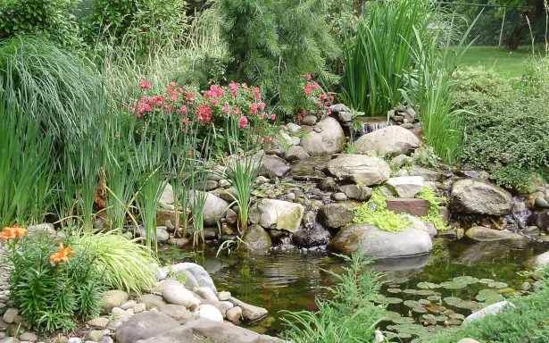 ponds & water features service